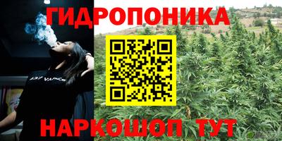 молекула духа Гусиноозёрск
