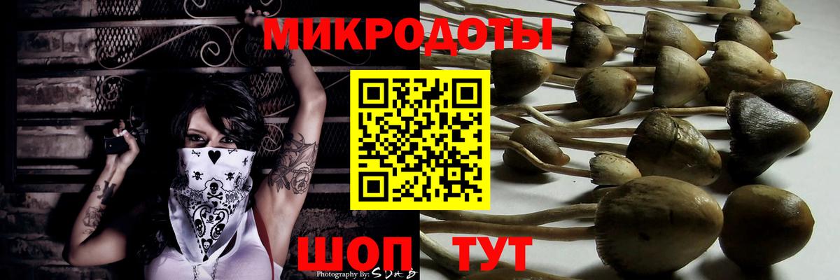Галлюциногенные грибы прущие грибы Надым